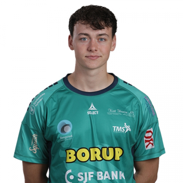 Mikkel Helqvist