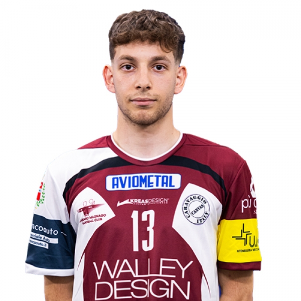 Andrea Salmini