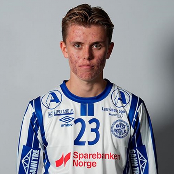 Nikolai Steinsland