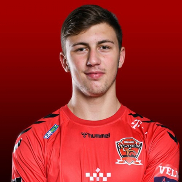 Zoran Ilic