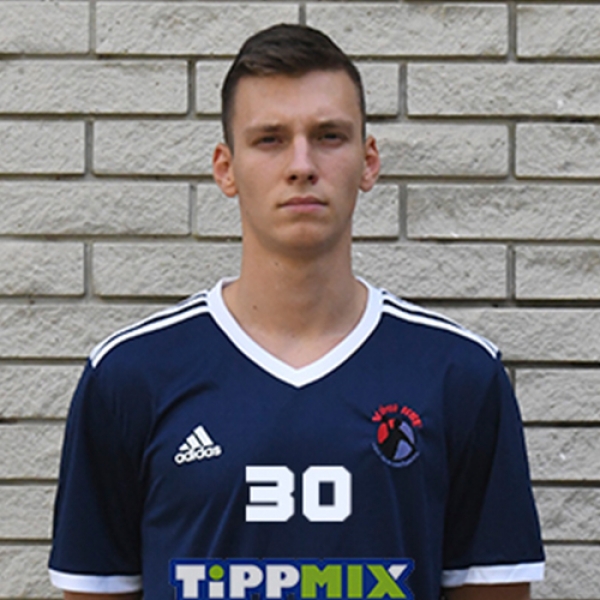 Attila  Gáspár
