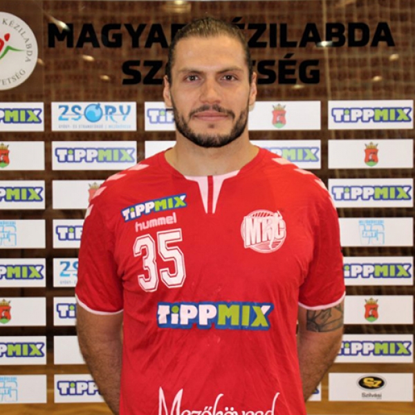 Henrique Pedro  Martins